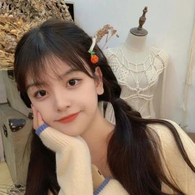 傲骨贤妻第五季